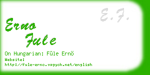 erno fule business card