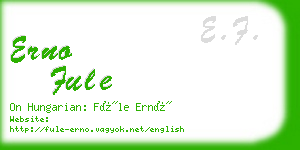 erno fule business card
